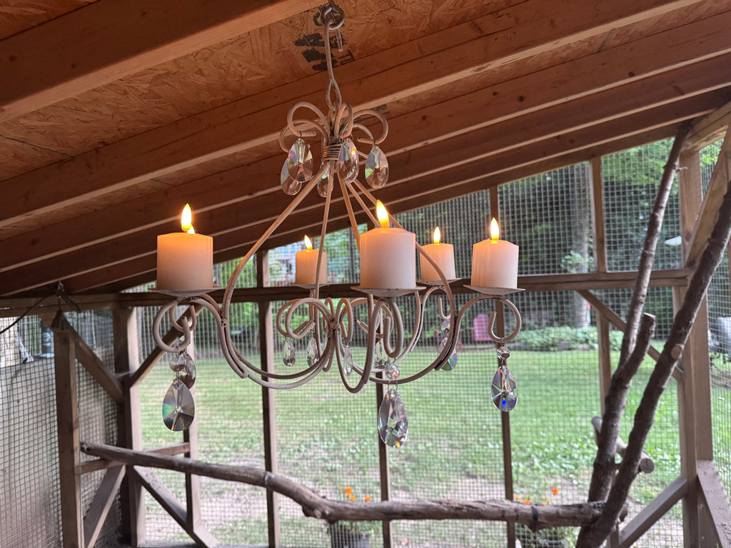 Coop Chandelier