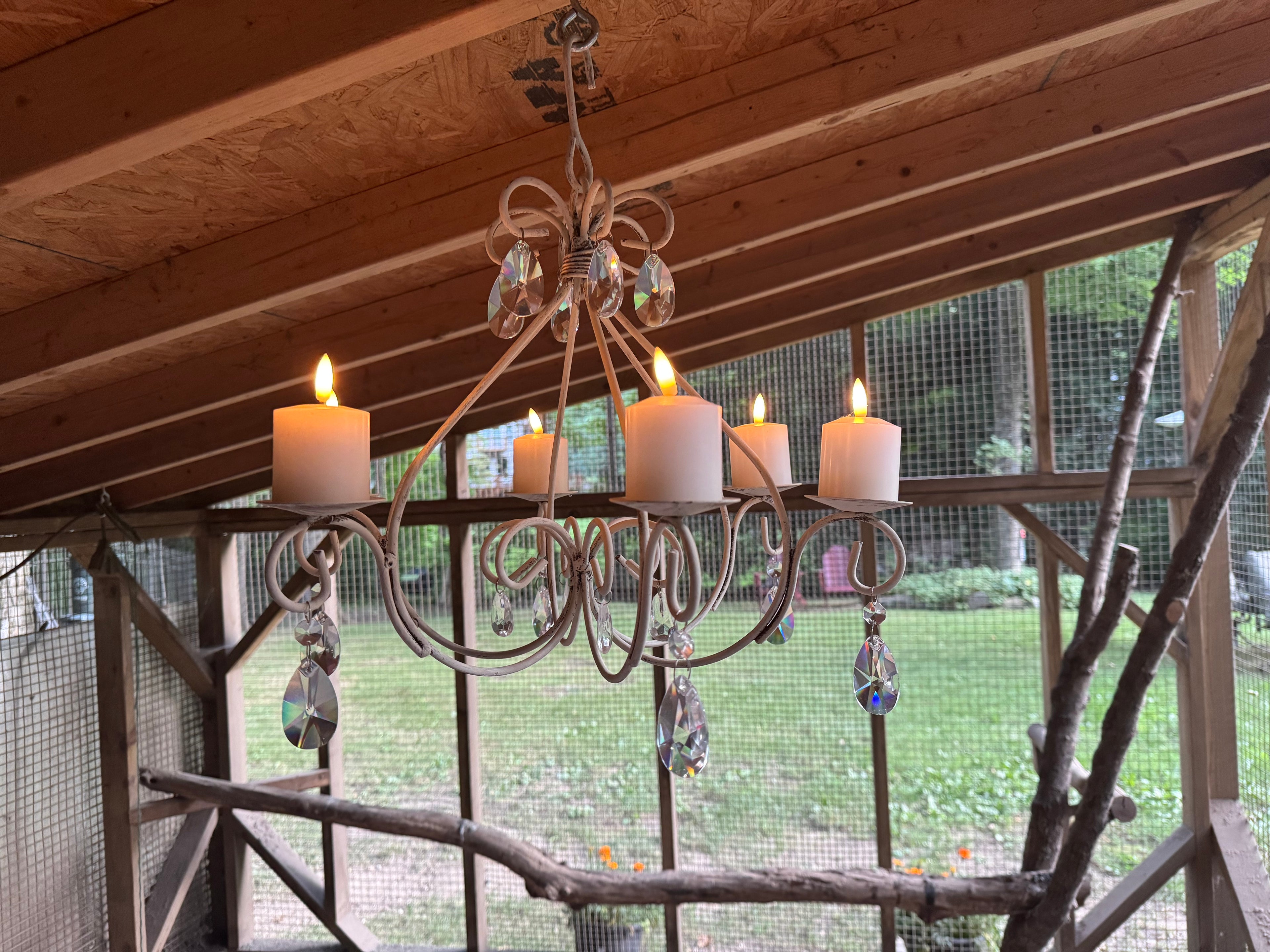 Coop Chandelier