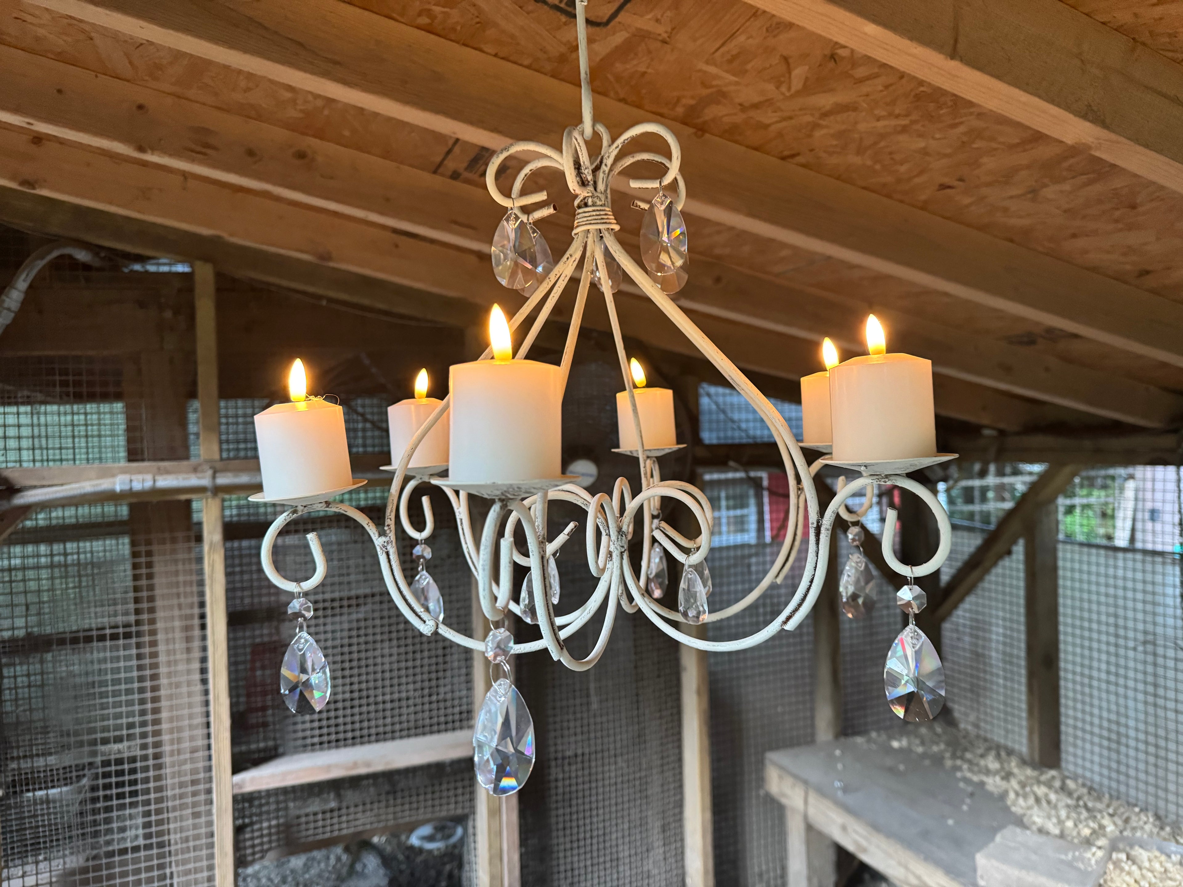 Coop Chandelier
