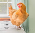 Nest:  Rescued Chickens at Home