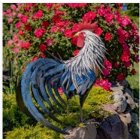 Tall Painted Iron Rooster Lawn Decoration "Brooks"