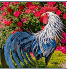 Tall Painted Iron Rooster Lawn Decoration "Brooks"