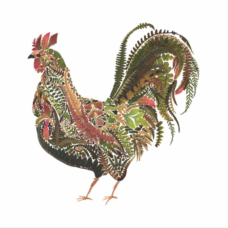 Resplendent Rooster