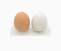 Farm Fresh Salt and Pepper Shakers