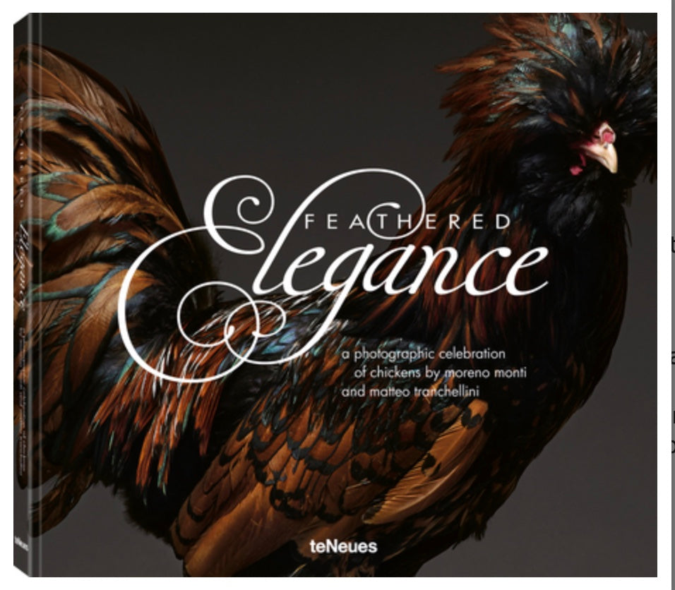 Feathered Elegance: A Photographic Celebration of Chickens