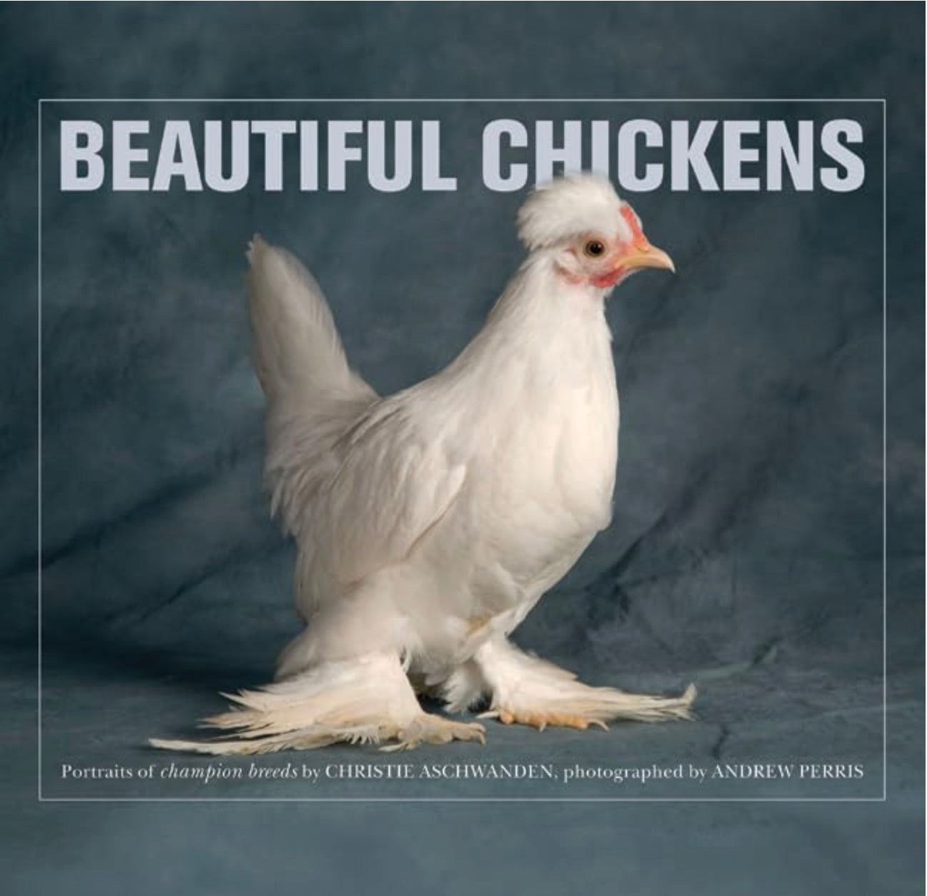 Beautiful Chickens by Christie Aschwanden