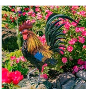 28" Tall Painted Iron Rooster "Hugo"