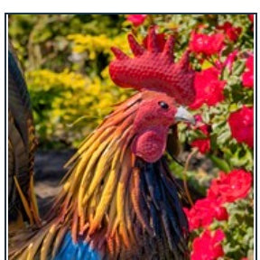 28" Tall Painted Iron Rooster "Hugo"