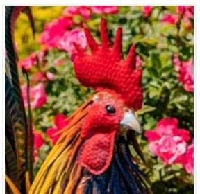 28" Tall Painted Iron Rooster "Hugo"