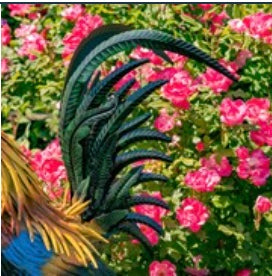 28" Tall Painted Iron Rooster "Hugo"